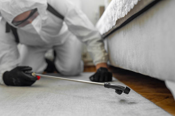 Professional Bed Bug Control technician working in Pointe Coupee Parish County, LA